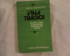 Ileana Malancioiu Vina tragica. Tragicii greci, Shakespeare, Dostoievski, Kafka foto