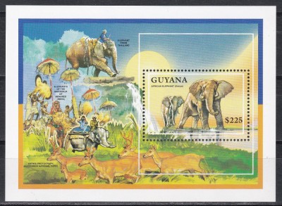 Guyana 1992 - Elefanti, Colita, MNH foto