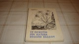 Ce ocrotim din natura judetului Brasov - 1966