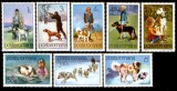 1982 - Cainele prieten al omului, serie neuzata