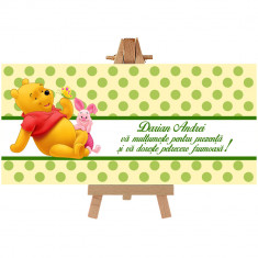 Plic de bani pentru botez Winnie the Pooh Handmade by Diana Puiu PBBW 7 foto