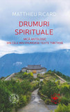 Drumuri spirituale. Mică antologie din cele mai frumoase texte tibetane - Paperback - Matthieu Ricard - Școala Ardeleană
