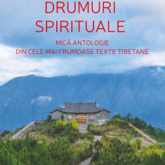 Drumuri spirituale. Mică antologie din cele mai frumoase texte tibetane - Paperback - Matthieu Ricard - Școala Ardeleană