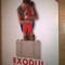Liliana Nechita - Exodul mamelor - Cirese amare (Ringier Romania, 2014)