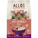 Granola cu Fructe de Padure Eco 300 grame Allos