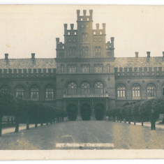 4284 - CERNAUTI, Bucovina, Res. Metropolitana - old postcard real PHOTO - unused