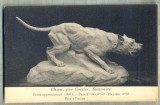 AD 496 C. P. VECHE -CHIEN - PAR CARTIER, STATUAIRE -FRANTA