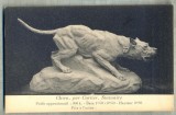 AD 496 C. P. VECHE -CHIEN - PAR CARTIER, STATUAIRE -FRANTA, Circulata, Printata