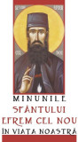 Minunile Sf&acirc;ntului Efrem cel Nou &icirc;n viața noastră (fară acatist) - Paperback brosat - *** - Sophia