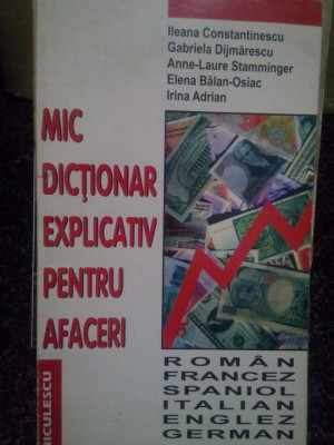 Ileana Constantinescu, Gabriela Dijmarescu, Anne-Laure Stamminger, Elena Blana-Osiac, Irina Adrian - Mic dictionar explicativ pentru afaceri foto