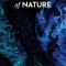 Dialectics of Nature
