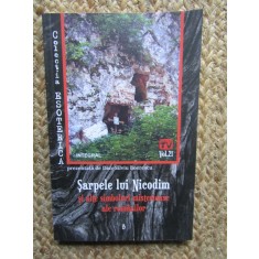 Sarpele lui Nicodim si alte simboluri misterioase ale romanilor - Dan-Silviu Boerescu