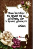 Card magnetic laminat (model 19) - Omul intelept nu spune tot ce gandeste, dar ce spune, gandeste (Platon)