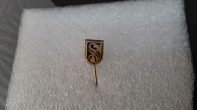 Insigna Sportul Stud. foto