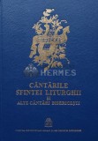 Cantarile Sfintei Liturghii, colinde si alte cantari bisericesti - 2013 (AR254)