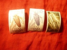 Serie IFNI colonie spaniola 1964 - Insecte, 3 valori foto