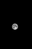 Tablou Canvas, "Luna plină pe cerul nopții", Lună, Claritate, &Icirc;ntuneric, Lumină, Mister, Noapte, Cer, Frumusețe, Solitudine, Pace, Enigmă, Spațiu, Lin