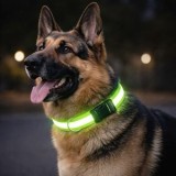 Zgardă pentru c&acirc;ini cu bandă reflectorizantă, 60x2,5 cm, verde, CMCLASS