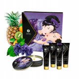 Kit accesoriu - Shunga Geishas Secret Kit Fructe exotice
