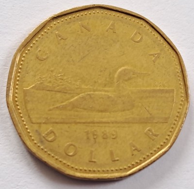 Canada, 1 Dollar 1989 foto