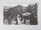 Carte postala, vedere Cluj, Gradina Botanica Intrarea principala, anii 60, tip fotografie, circulata