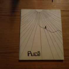FLORIN PUCA Album - Fanus Neagu (cuvant inainte) - 1986, 24 p.+reproducerii
