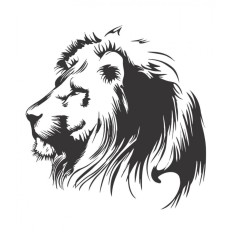 Sticker decorativ, Leu, 55 cm, 1141STK