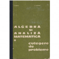 Algebra si analiza matematica - culegere de probleme vol I foto