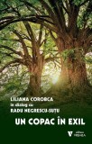 Un copac &icirc;n exil - Paperback brosat - Radu Negrescu-Suțu, Liliana Corobca - Vremea