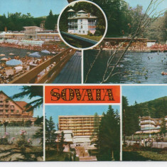 CPI B 11069 CARTE POSTALA - SOVATA. MOZAIC