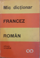 Mic dictionar francez roman foto