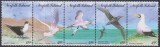 Timbre cu păsări marine din Ins. Norfolk, Nestampilat