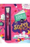 Jurnalul meu secret. Activitati pentru fete
