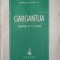 GARGANTUA TRADUCERE DE A.V. MACRI-FRANCOIS RABELAIS-244841