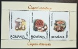 Rom&acirc;nia 2003 &ndash; Mini‑coală &bdquo;Ciuperci otrăvitoare&rdquo;