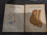 Equinococosis Hidatidica. 2 volume. RARITATE!!!! 1961. Ivanissevich, Jose Arce