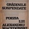 Gradinile suspendate. Poezia lui Alexandru Macedonski &ndash; Daniel Dimitriu