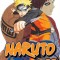 Naruto, Volume 29