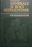 N. Anastasiu - Minerale si roci sedimentare - Determinator (Editia: 1977)