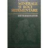 N. Anastasiu - Minerale si roci sedimentare - Determinator (Editia: 1977)