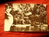 Ilustrata Buzau 1970 - Parcul Crang