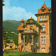 CPIB 19705 CARTE POSTALA - SINAIA. VILA "PANSELUTA"