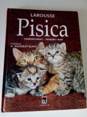 Larousse PISICA Comportament ingrijire rase - editura RAO foto