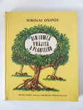 Nikolai Osipov - Din lumea vrăjită a plantelor, ilustrații Victor Kirillov; 1988