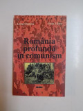 ROMANIA PROFUNDA IN COMUNISM de LIVIU CHELCEA , PUIU LATEA, 2000