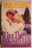 Raul divin - Nora Roberts, Roman de dragoste, Carte beletristica