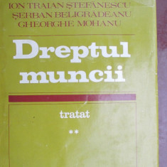 Dreptul muncii vol.2