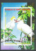 Eq. Guinea 1976 African Birds, imperf. sheet, used M.027, Stampilat