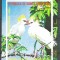 Eq. Guinea 1976 African Birds, imperf. sheet, used M.027