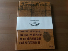 documente medievale banatene 1440-1653 costin fenesan facla 1981RSR cu planse foto